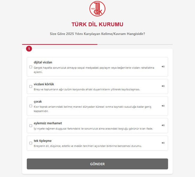 Yarın son gün! TDK’den “2025’in kelimesi/kavramı” oylaması: Dijital vicdan mı, vicdani körlük mü? 5 kavram halkın oyuna sunuldu...