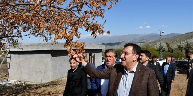 Ödemeler ağaç başına yapılacak! Zirai don destek ödemeleri Kurban Bayramı’ndan sonra hesaplarda