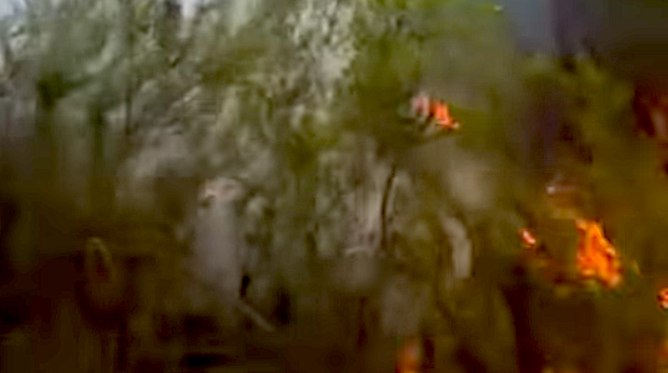 Bu sefer de İstanbul yanıyor! Kayışdağı Ormanı'nda yangın çıktı! - Resim : 2