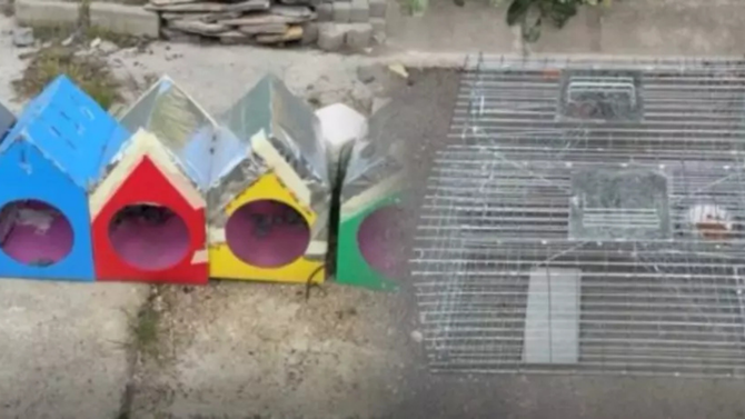 Kubilay Aka’dan hayvanlara kapan skandalına sert tepki! Site yönetimini ifşa etti! Jandarma devreye girdi