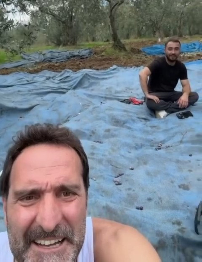 Çakallarla Dans'ın 'Köfte Necmi'si Timur Acar, İznik'te arsa aldı! İlk zeytin hasadını yaptı