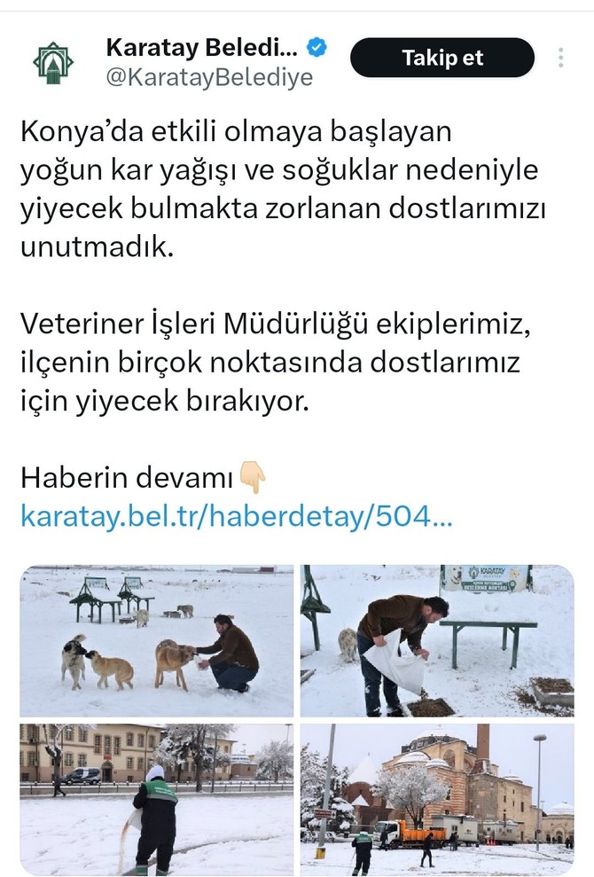Konya'da 2 yaşındaki çocuk 10 köpeğin saldırısının ardından vefat etmişti! Sokak köpeklerini toplatmak yerine besleyen Karatay Belediyesi'ne tepki yağıyor! Belediye Başkanı'ndan açıklama