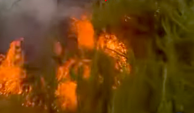 Bu sefer de İstanbul yanıyor! Kayışdağı Ormanı'nda yangın çıktı!