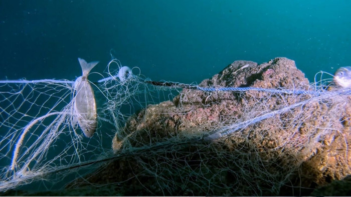 Orzax’tan ekolojik dönüşüm hamlesi: "Mavi İz" ile deniz kirliliği sanata dönüştü
