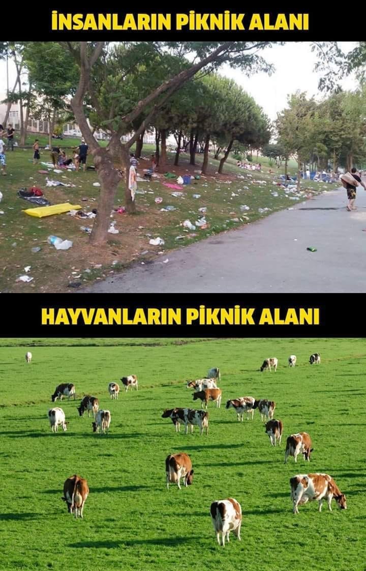 Hangisi doğa için daha zararlı?