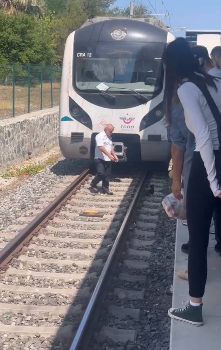 Marmaray'ın kahraman makinisti... Raylarda yavru kediyi görünce treni durdurup aşağı indi