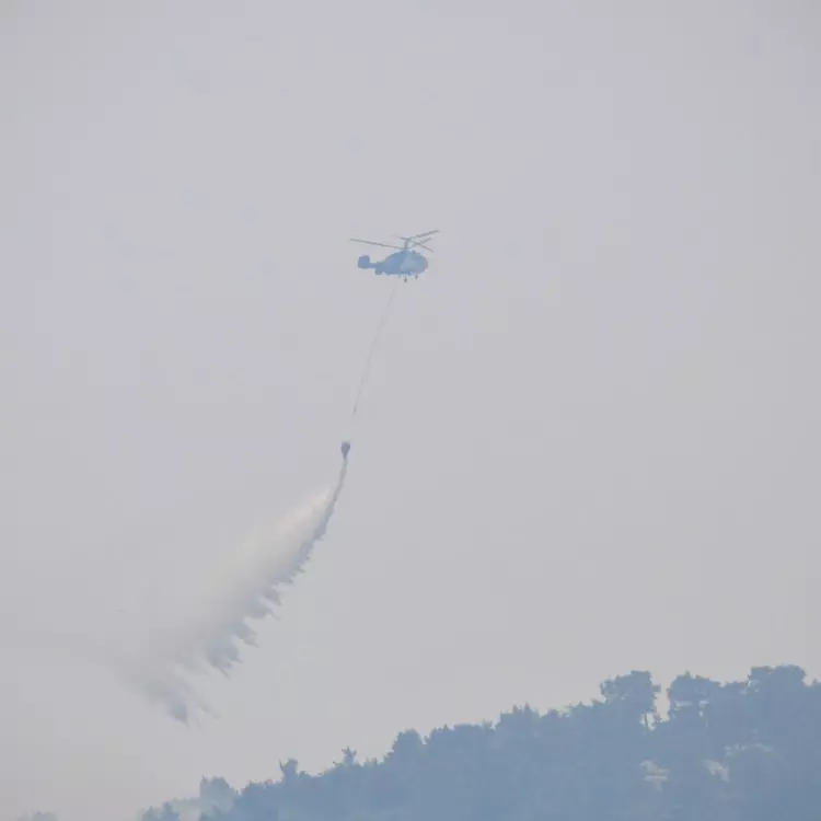 3 ilimizde korkutan yangın! 2 bin 966 kişi tahliye edildi, kara yolu kapatıldı - Resim : 2