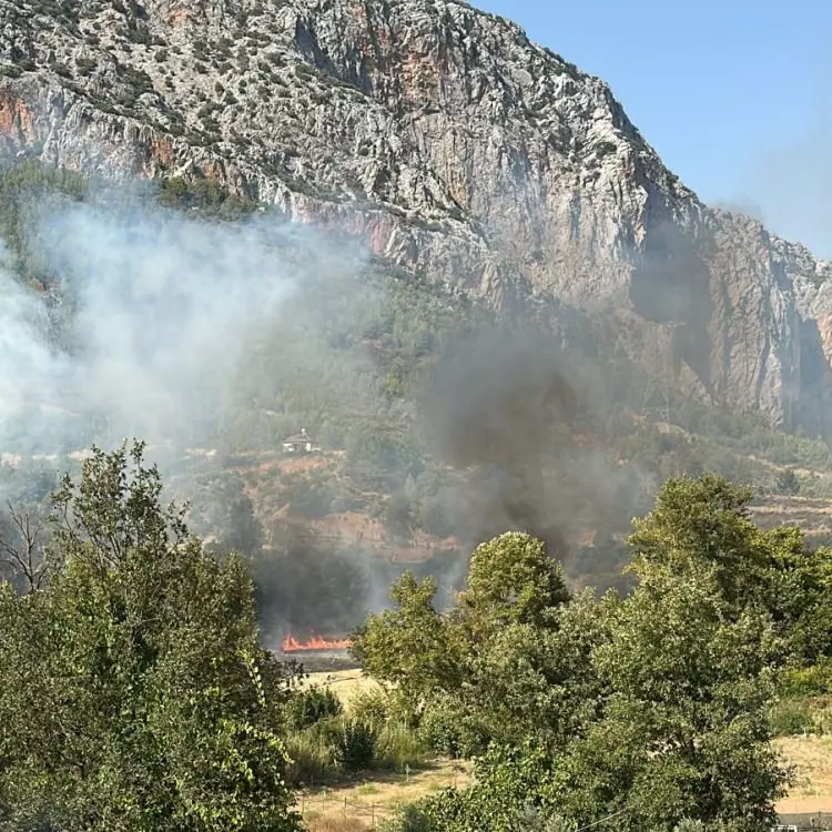 3 ilimizde korkutan yangın! 2 bin 966 kişi tahliye edildi, kara yolu kapatıldı - Resim : 6