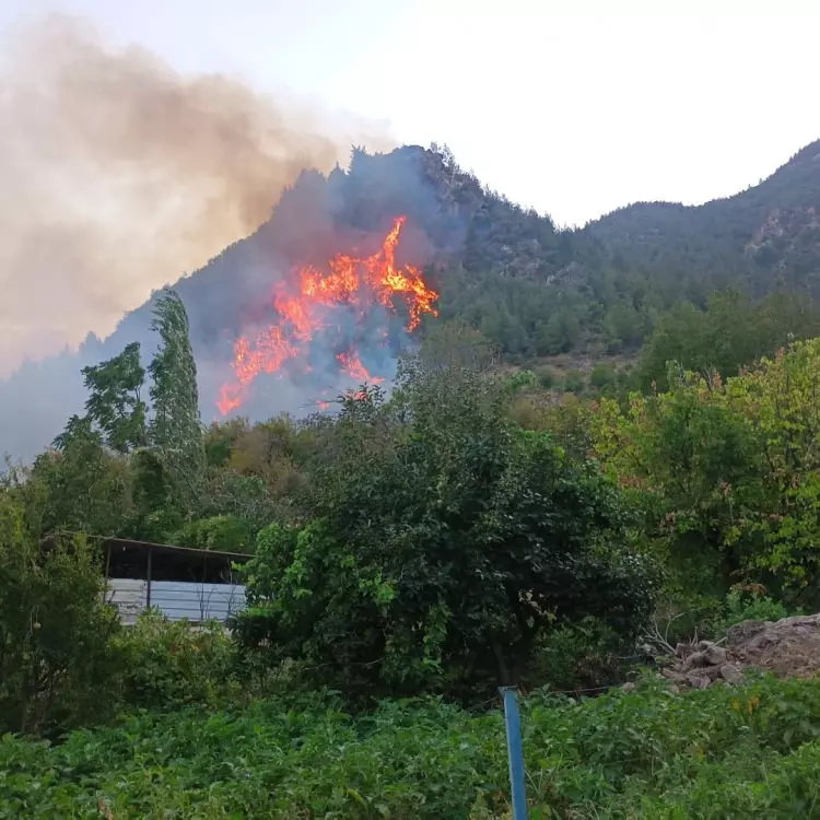 3 ilimizde korkutan yangın! 2 bin 966 kişi tahliye edildi, kara yolu kapatıldı - Resim : 7