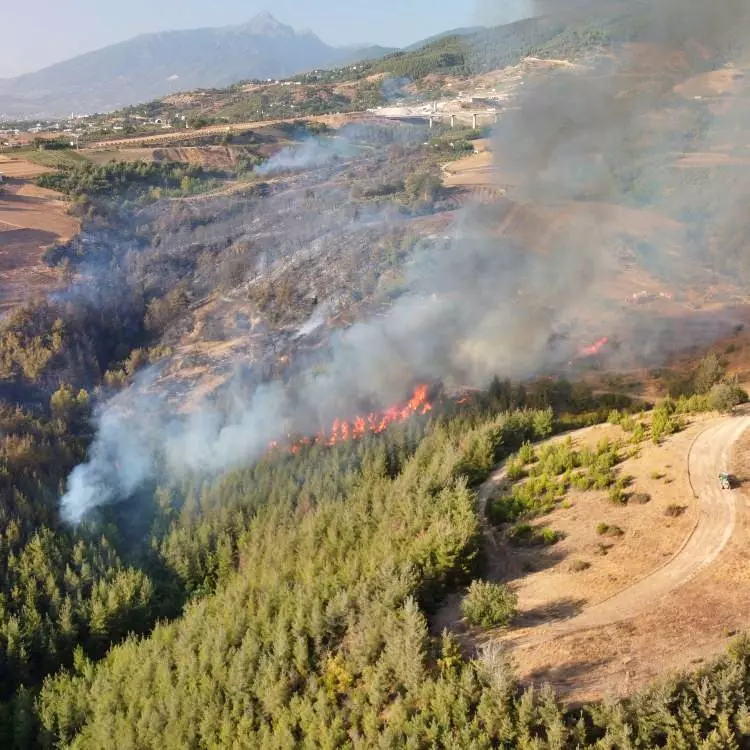 3 ilimizde korkutan yangın! 2 bin 966 kişi tahliye edildi, kara yolu kapatıldı - Resim : 9