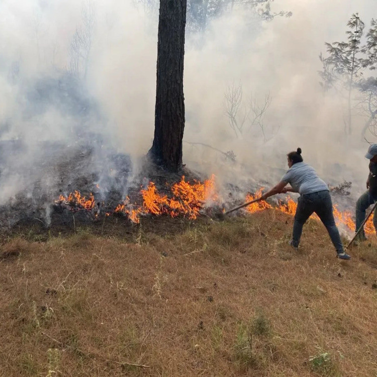 3 ilimizde korkutan yangın! 2 bin 966 kişi tahliye edildi, kara yolu kapatıldı