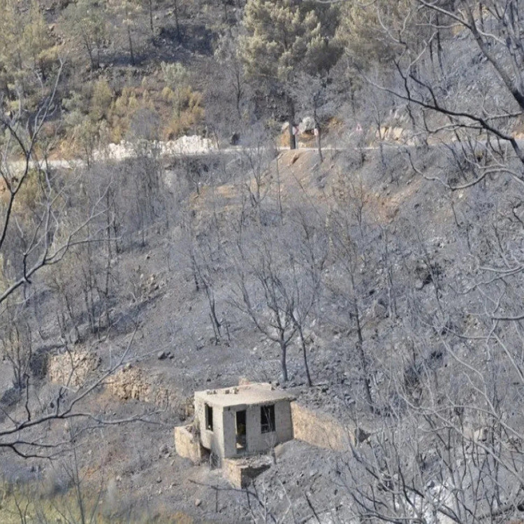 3 ilimizde korkutan yangın! 2 bin 966 kişi tahliye edildi, kara yolu kapatıldı - Resim : 4