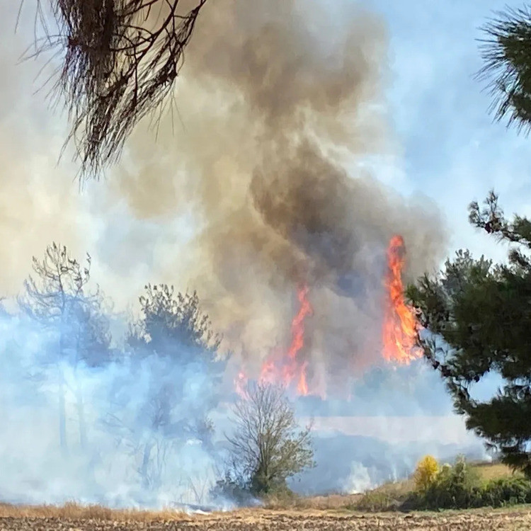 3 ilimizde korkutan yangın! 2 bin 966 kişi tahliye edildi, kara yolu kapatıldı - Resim : 8