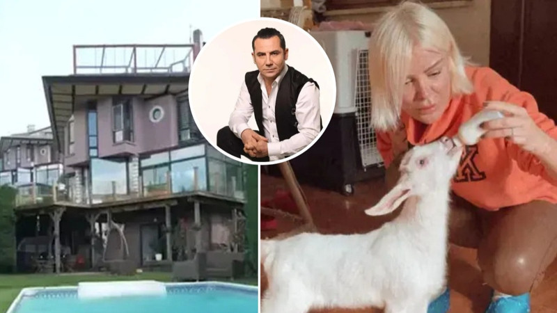 Ferhat Göçer "Milyon dolarlık yalı barınağa döndü" demişti... Ömür Gedik o yavru keçiyi paylaştı!