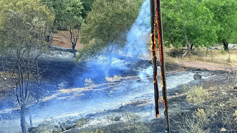 Tarım ve Orman Bakanı İbrahim Yumaklı'dan iyi haber: Antalya ve Manisa'daki orman yangınları kontrol altına alındı