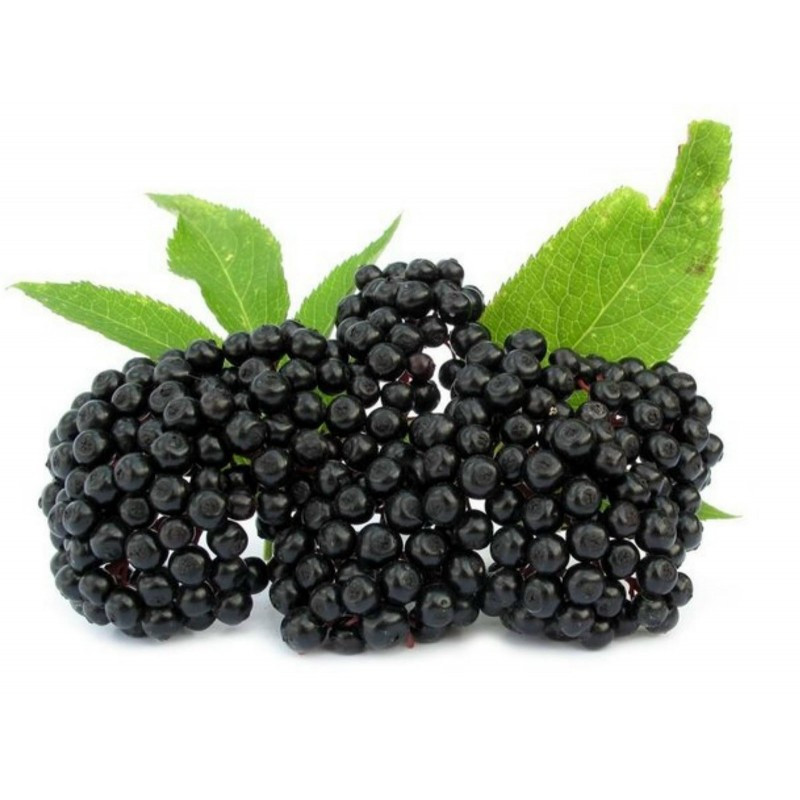 Kış Aylarında Gücünü Korumanın En Etkili Yolu