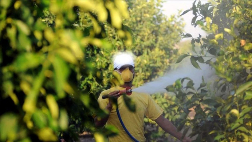 Bir ailenin ölümüne neden olmuştu! O ilaçlarlarda reçeteli dönem başladı! İnternet satışı ve reklamı yasaklandı - Fotoğraf: 1