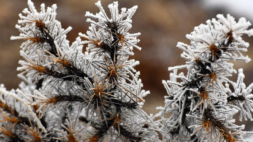 54 ilde kar alarmı! Tarih verildi: Lapa lapa yağacak - Fotoğraf: 50