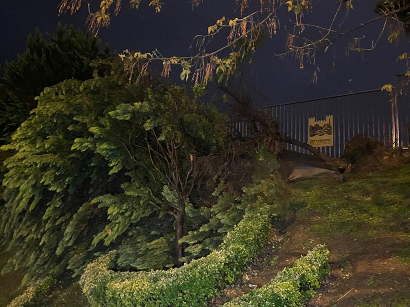 İstanbul'da şiddetli fırtına ve gök gürültülü sağanak yağış kabusu: 1 kişi devrilen ağacın altında kaldı, yollar çöktü, evleri su bastı - Fotoğraf: 2