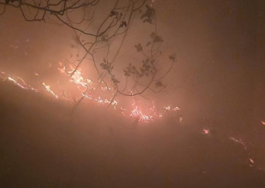 Hatay'da korkunç yangın! Yıldırım düştü alevler bir anda yükseldi!