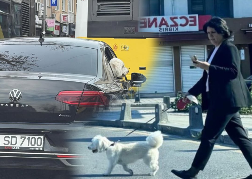 CHP’li Başkan Sinem Dedetaş aracını köpeğine tahsis etti! "Milletle dalga geçiyorlar"