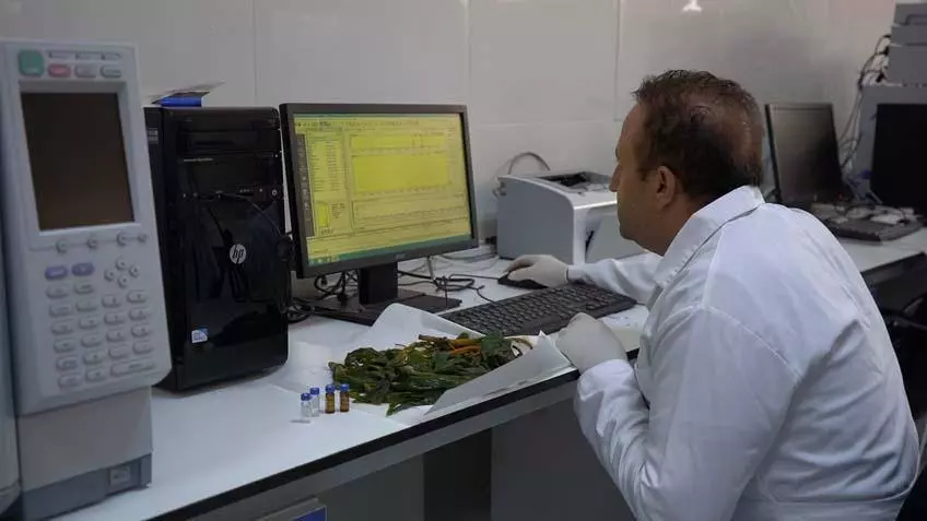 Şırnak'ta keşfedildi, 3 ölümcül hastalığa karşı son derece etkili! - Resim : 3