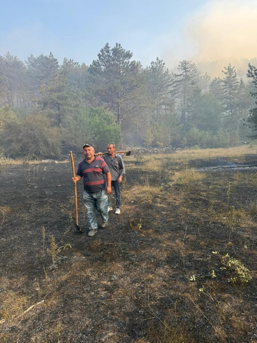 Sinop'taki orman yangını kontrol altında! Vali Özarslan: Tahliye edilenler köylerine dönebilir - Resim : 2
