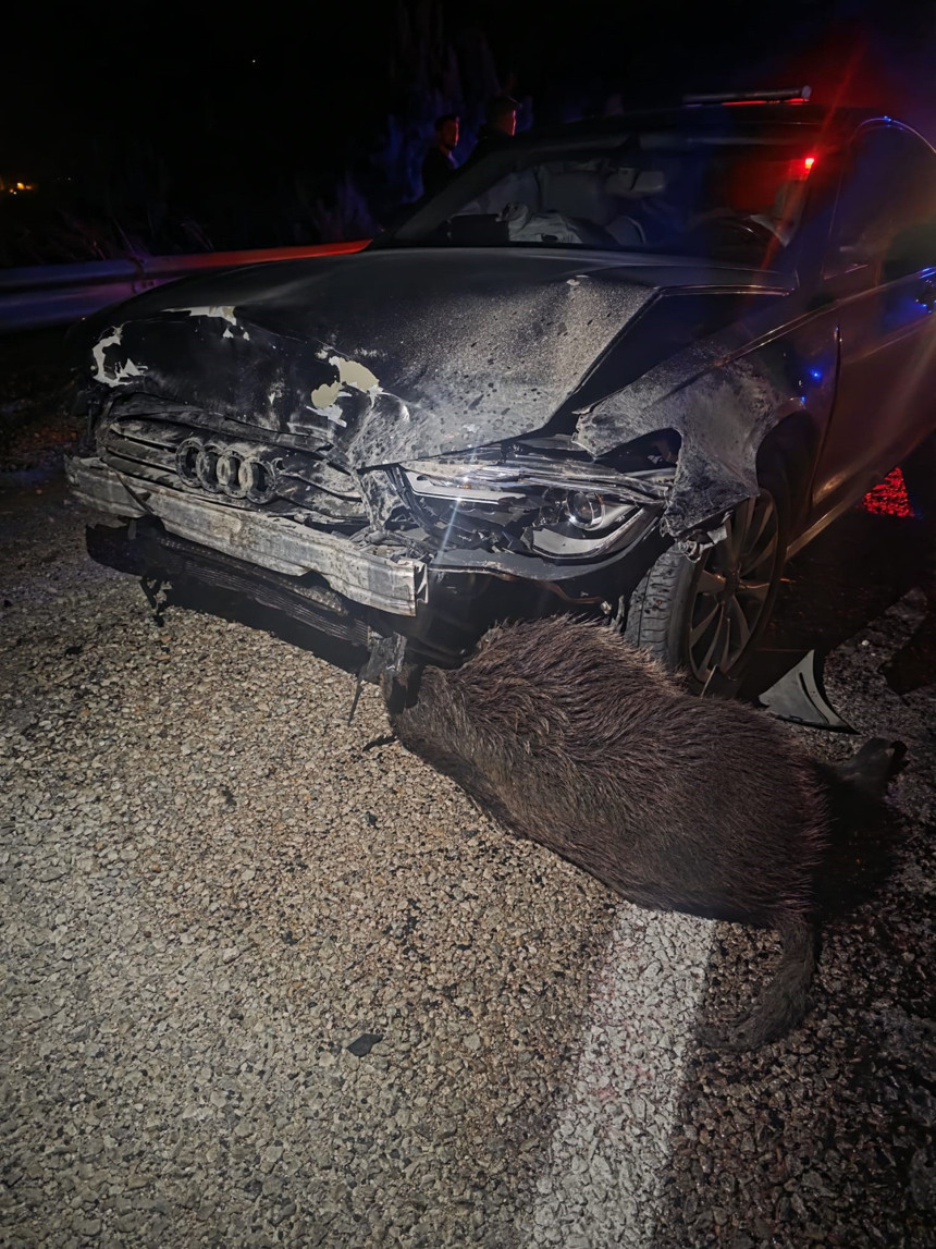 Sinop Belediye Başkanı Metin Gürbüz’ün makam aracı domuz sürüsüne çarptı