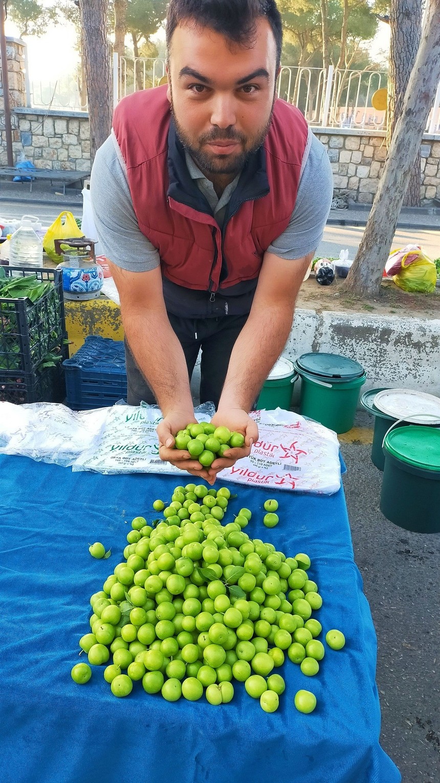 Yazın müjdecisi yeşil erik tezgaha düştü, tuza ban ban ye, A, B ve C vitamini deposu