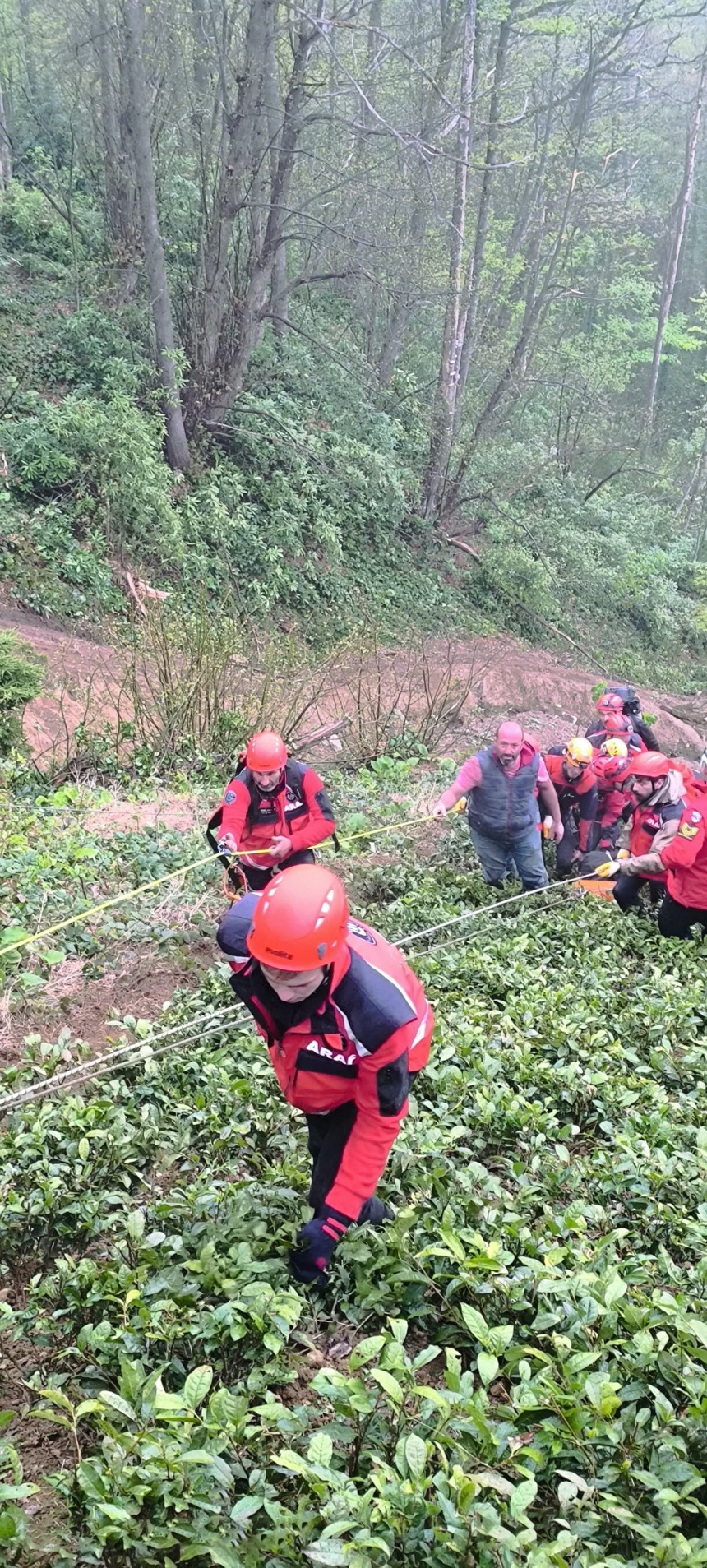Rize’de trajik kaza! Üzerine ağaç düşen adam hayatını kaybetti
