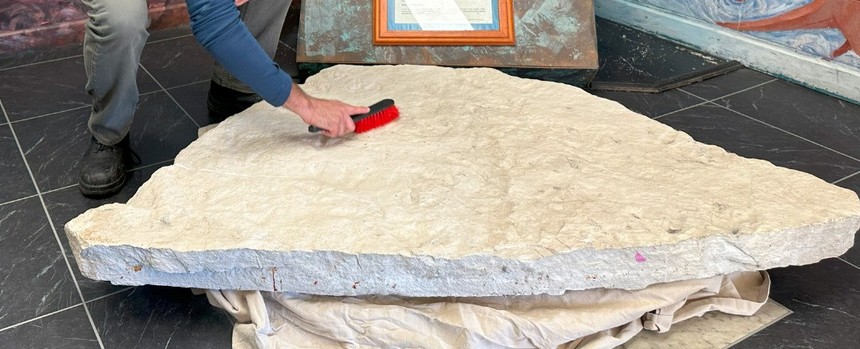 Avustralya'da 200 milyon yıl öncesine ait 66 dinozor ayak izi keşfedildi