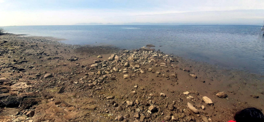 Ayvalık'ta deniz yaklaşık 15 metre çekildi, kıyıdaki yosun ve deniz canlıları yüzeye çıktı