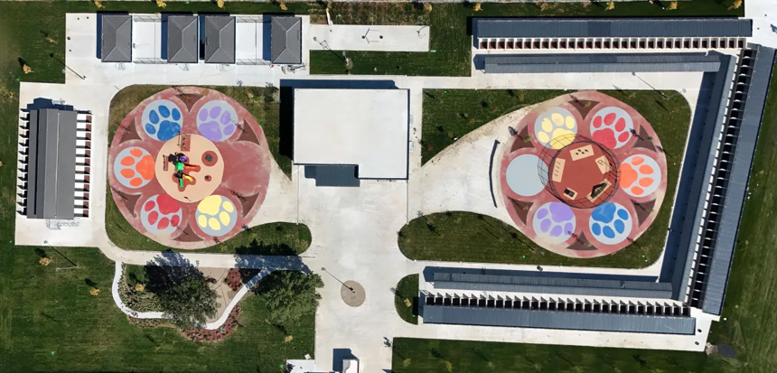 Sokak hayvanları sorununa ilk ve örnek adım Sakarya’dan geldi! Başkan Yusuf Alemdar detayları paylaştı...