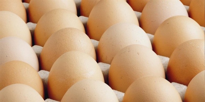 Mayıs ayında en çok fiyatı düşen ürün yumurta oldu