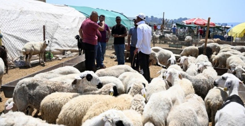 Kurban Bayramı'nda 3 milyondan fazla kurbanlık satıldı