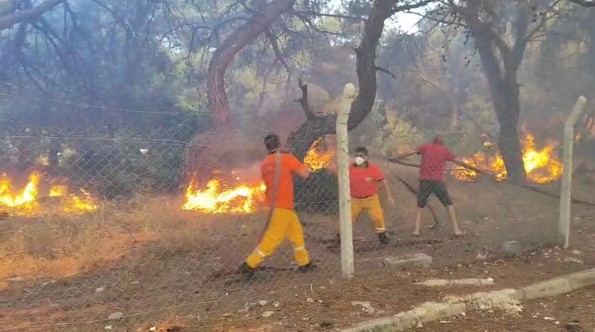 Ülke alenen kundaklanıyor! Antalya'da yangın şehrin göbeğinde başladı, 3.5 saatte kontrol altında - Resim : 3