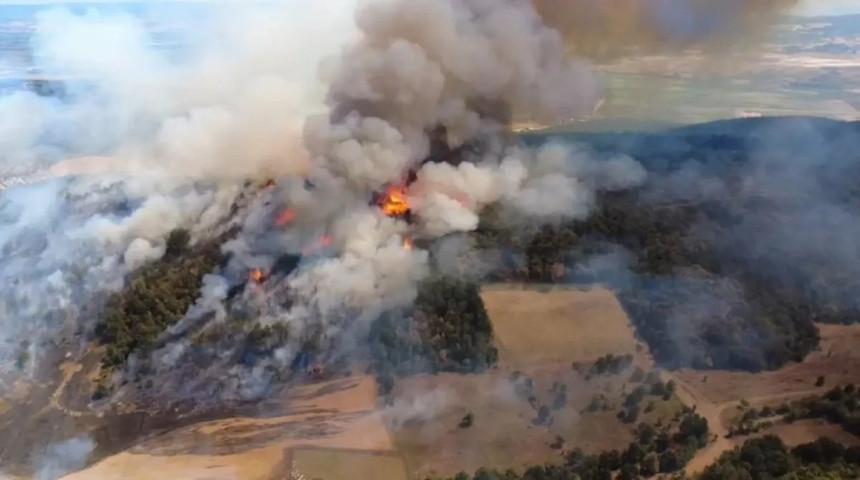 Bursa'da ormanlık alanda yangın çıktı! Alevler bir anda yükseldi! - Resim : 3