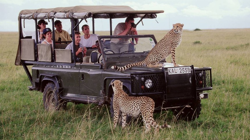 İlk safari deneyimi için en iyi destinasyonlar ve pratik ipuçları!