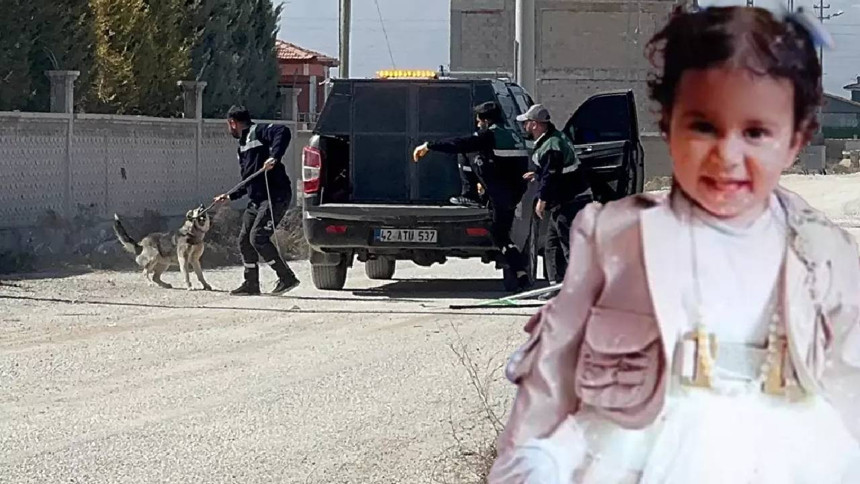 Sokak köpekleri toplatılıyor; Konya'daki vahşet bardağı taşırdı Bakan Yerlikaya düğmeye bastı - Resim : 2