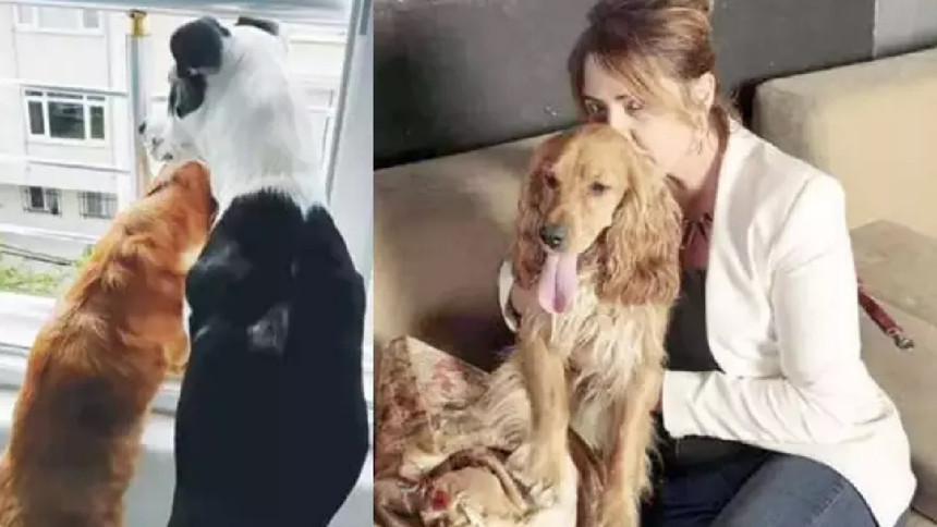 Can dostu Birgül Taşdemir yaşam mücadelesi veriyor! Şimdi destek sırası bizde