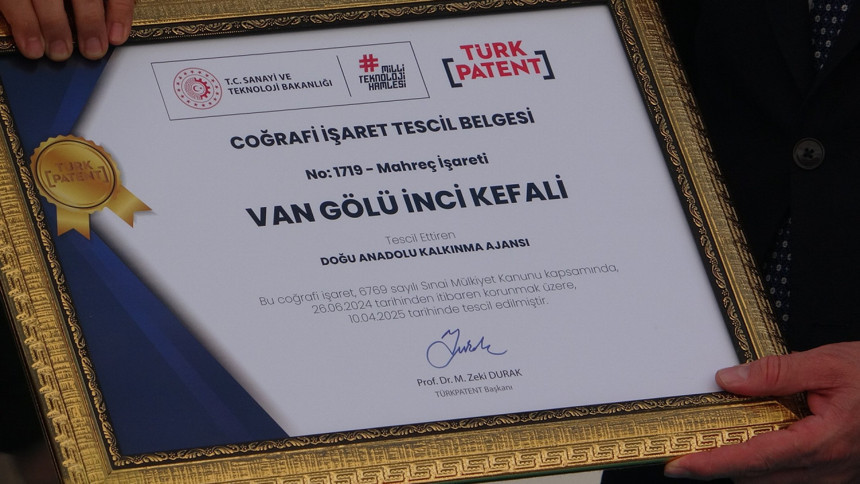 Van'ın simgelerinden inci kefali, tescil belgesiyle koruma altına alındı - Resim : 3