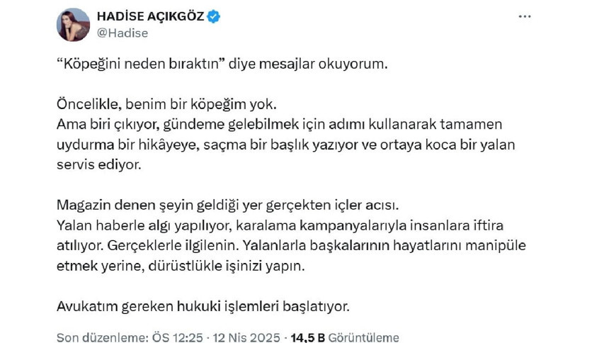 Hadise'den 'köpeğini otelde bırakıp gitti' iddialarına sert yanıt: "Tamamen uydurma bir hikaye!"