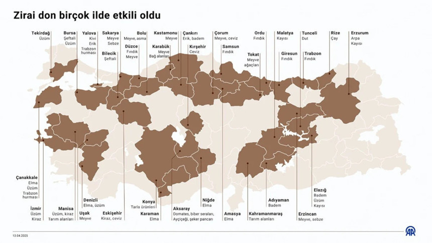 Zirai don haritası yayınlandı: Türkiye'nin birçok ilinde etkili oldu!