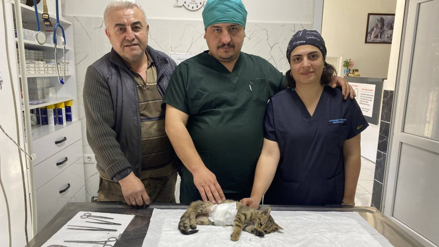 Dünyayı kediler yönetsin! Manisalı esnaf iş yerine gelen yaralı kediyi sahiplendi, tedavi ettirdi