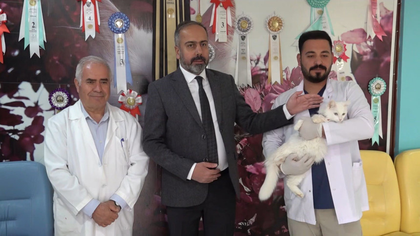 Van’ın incisi ‘Su’ 5 yavru dünyaya getirdi