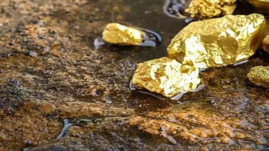 Gözlerine inanamadı: Arazisinden 150 tondan fazla altın fışkırdı!