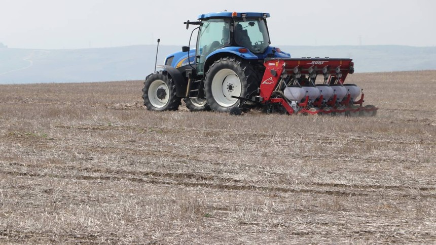 Tekirdağ'da ayçiçeğinin kuraklığa karşı dayanıklılığı için anıza ekim yapılıyor