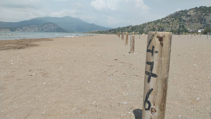 Ortaca İztuzu Sahili'nde caretta carettalar için hazırlıklar tamamlandı