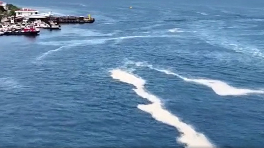 Marmara'nın kabusu ortaya çıktı! Kıyılarda yoğunluk dikkat çekti!