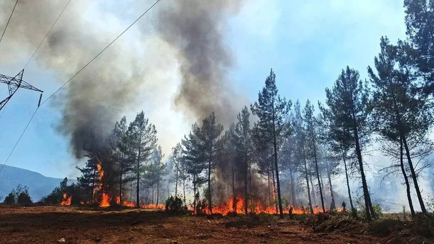 İzmir yanıyor: Orman yangınında alevler evlere yaklaştı!